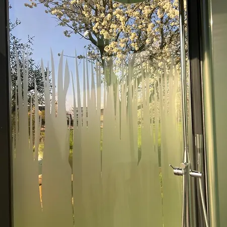 Pur & Erlebnisurlaub Im Spiegelhaus Oeoed 3* Lauterach